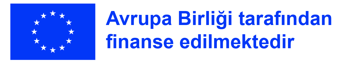 Avrupa Birliği Finansmanı
